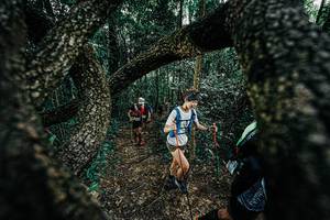 BIB: 
                            <button type="button" onclick="openModal(25392080)" class="btn btn-primary btn-sm float-right btn-popup" data-toggle="modal" data-target=".modal-high-quality">
                        <i class="fas fa-shopping-cart"></i> Add to Cart
                    </button>
                                            <button type="button" onclick="isThisMe(25392080, true)" class="btn btn-success btn-sm float-right btn-popup btn-isme hidden" data-toggle="tooltip" data-placement="bottom" title="นี่คือรูปของคุณใช่ไหม คลิกที่นี่เพื่อเอาเข้าอัลบั้ม">
                        <i class="fas fa-plus"></i> Add to album
                    </button>
                    <button type="button" onclick="isThisMe(25392080, false)" class="btn btn-warning btn-sm float-right btn-popup btn-isnotme hidden">
                        <i class="fas fa-ban"></i> Remove from album
                    </button>